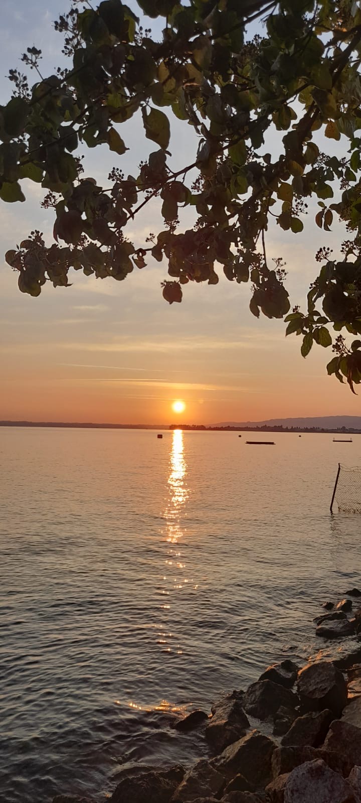 Bild rechts mittig überlappend